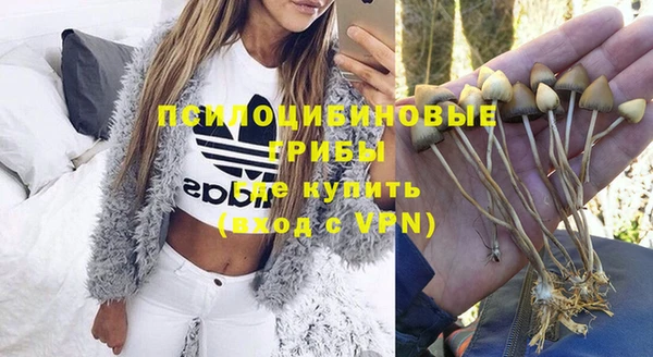 Альфа ПВП Балабаново