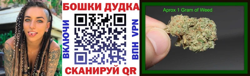 где можно купить   OMG вход  Канабис SATIVA & INDICA  Берёзовский 